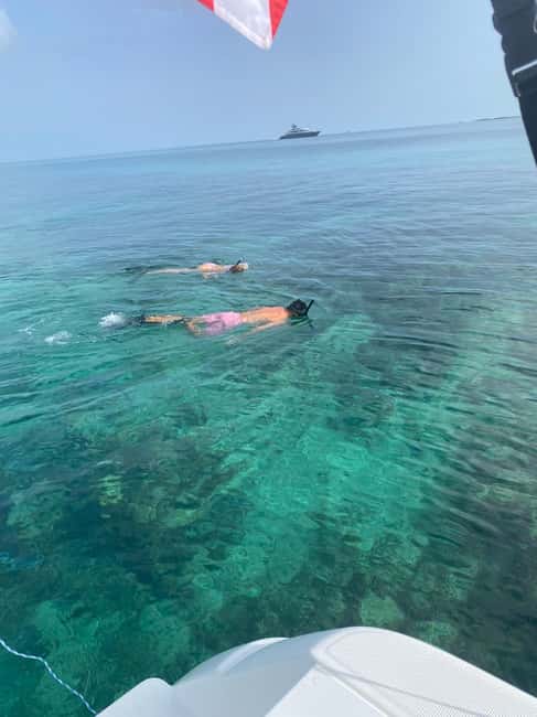 Rose Island: Pig Beach, Snorkeling, Sea Turtles, Beach - Snorkeling over a Bahamian coral reef