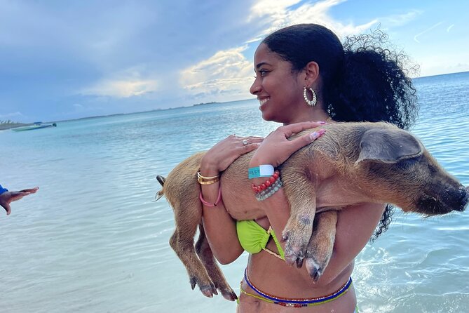 Rose Island Private Beach: Swimming with the Pigs - Key points to know before booking