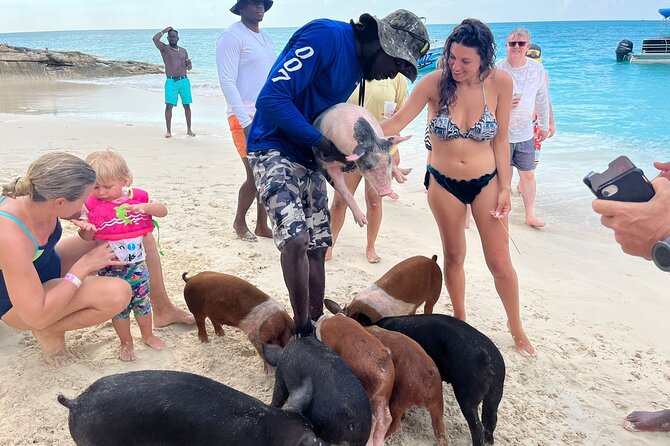 Rose Island Private Beach: Swimming with the Pigs - A fast start from Paradise Island