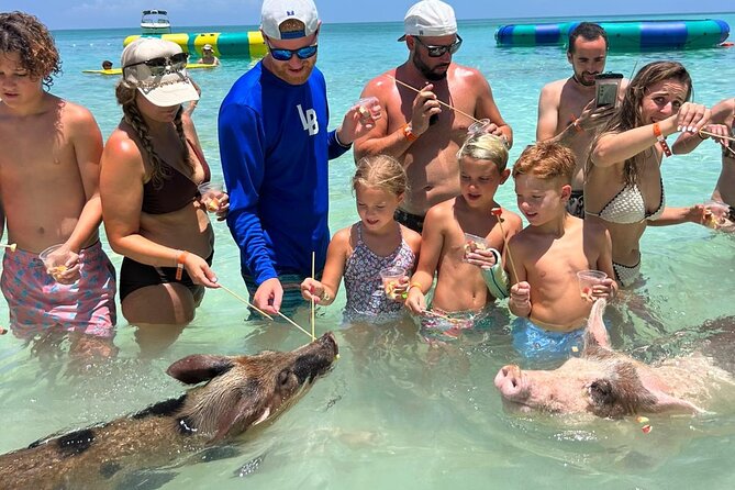 Rose Island Private Beach: Swimming with the Pigs - Green Cay and the search for turtles