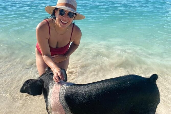 Rose Island Private Beach: Swimming with the Pigs - Weather, insects, and other practical concerns