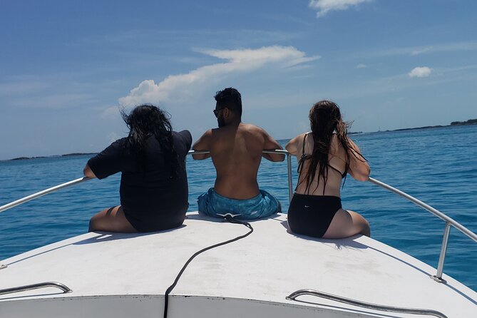 Rose Island: Private Snorkeling, Fishing, and Swimming with Pigs - Swimming with pigs for an extra $35