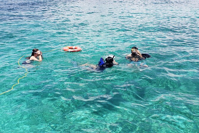Rose Island: Private Snorkeling, Fishing, and Swimming with Pigs - What the $850 price really buys
