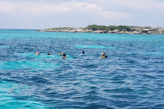 Rose Island: Private Snorkeling, Fishing, and Swimming with Pigs - What is included, and what you should bring