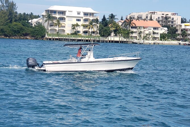 Rose Island: Private Snorkeling, Fishing, and Swimming with Pigs - Snorkeling around Green Cay