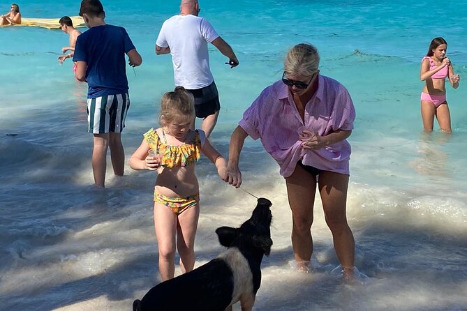 Rose Island Swimming Pigs - Rose Island pigs, lunch, and beach time