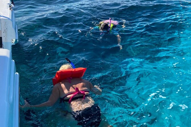 Rose Island Swimming Pigs - Captains and the feel of the service