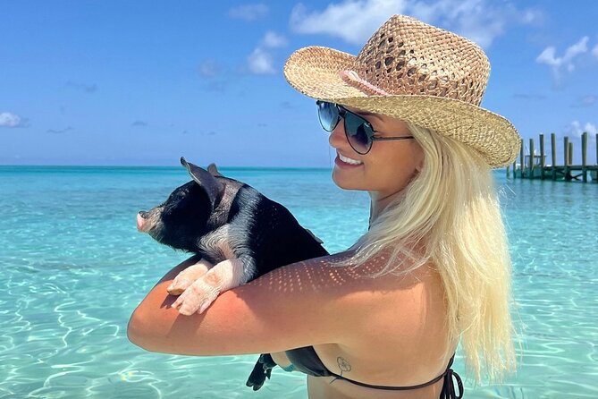 Rose Island Swimming Pigs & Beach Snorkeling Experience Nassau - Key things to know before you book