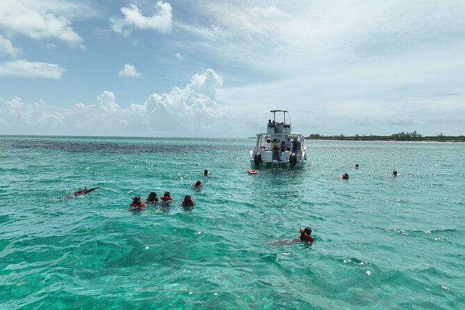 Rose Island Swimming Pigs & Beach Snorkeling Experience Nassau - A short boat ride from downtown Nassau