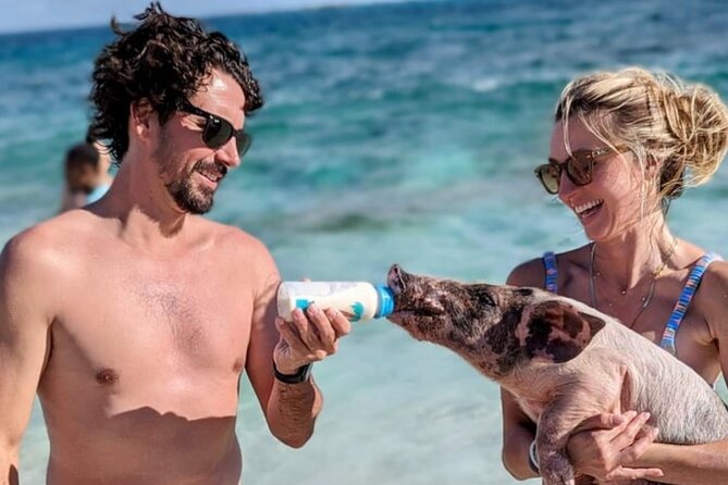 Rose Island Swimming Pigs & Beach Snorkeling Experience Nassau - Snorkeling beside the Rose Island beach