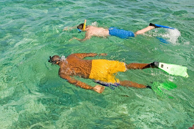 Rose Island Swimming Pigs & Beach Snorkeling Experience Nassau - What the $79 price really covers
