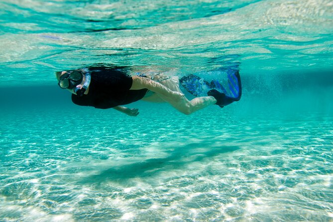 Rose Island Swimming Pigs & Beach Snorkeling Experience Nassau - Who will enjoy this Rose Island outing most