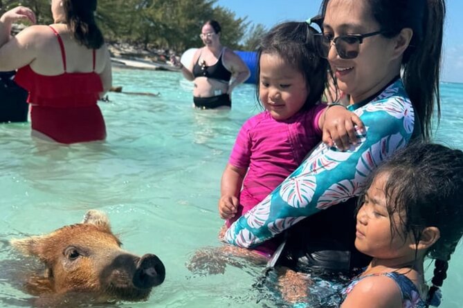 Rose Island Swimming Pigs & Beach Snorkeling Experience Nassau - Timing, weather, and cancellation details