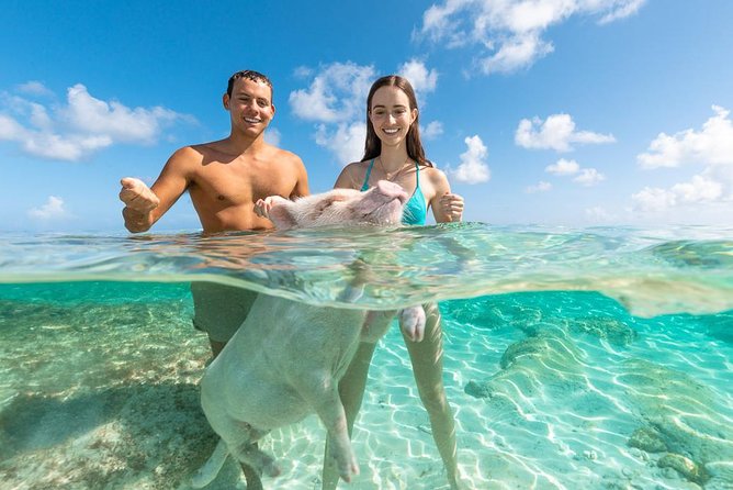 Sandy Toes The Original Rose Island and Swimming Pigs Tour - Is $258 a fair price?