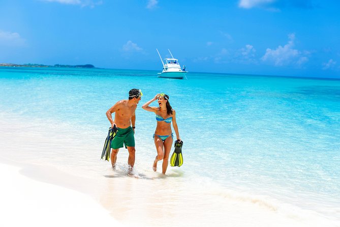 Sandy Toes The Original Rose Island and Swimming Pigs Tour - Timing, weather, and who should book