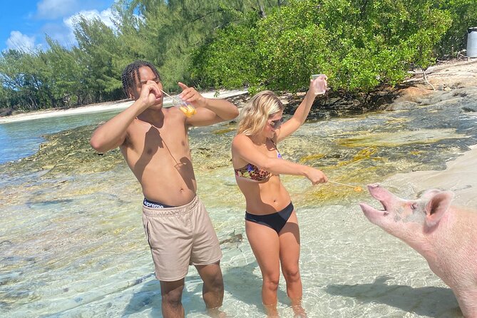 Self Drive Speedboat and Swim with the Pigs - Who Will Enjoy This Nassau Outing?