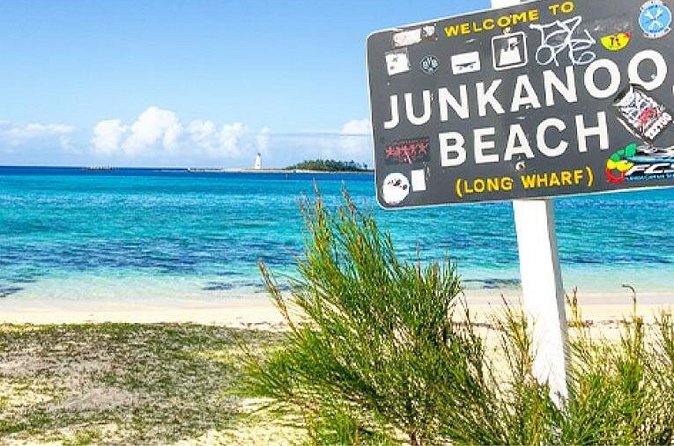 Sightseeing Island Tours Nassau Bahamas Paradise Island - The onboard comforts that matter