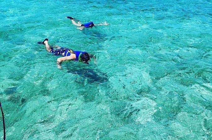 Small-Group Snorkeling Experience at Sea Garden - Leaving Nassau Harbour Central Marina