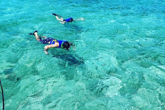 Small-Group Snorkeling Experience at Sea Garden - What your two hours look like