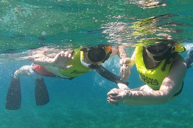 Small-Group Snorkeling Experience at Sea Garden - Why the small group matters
