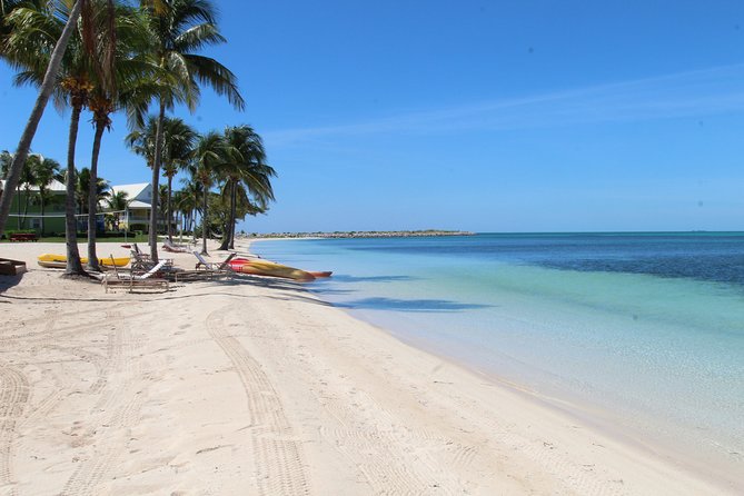Snorkel/Swim with the Turtles Experience - Is $250 per person a fair price?
