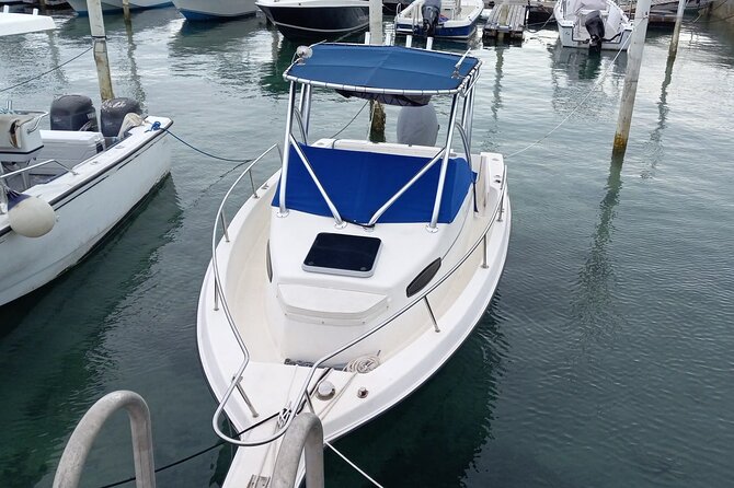 Snorkeling, Swim with Turtles & Beach Day - What the boat day can include