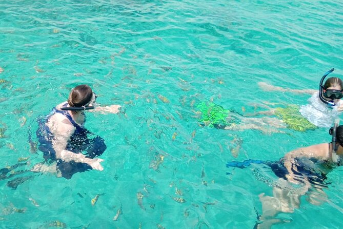 Snorkeling, Swim with Turtles & Beach Day - Fishing, rays, barracudas, and beach time