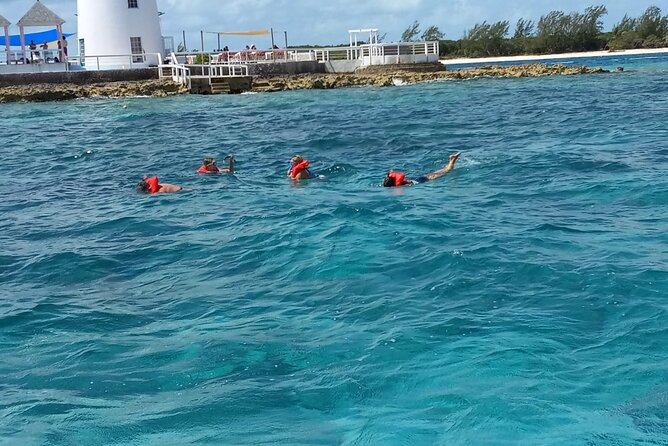 Snorkeling, Swim with Turtles & Beach Day - Timing, weather, and small practical matters
