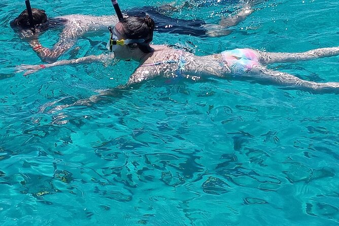 Snorkeling, Swim with Turtles & Beach Day - Turtle swimming and reef snorkeling