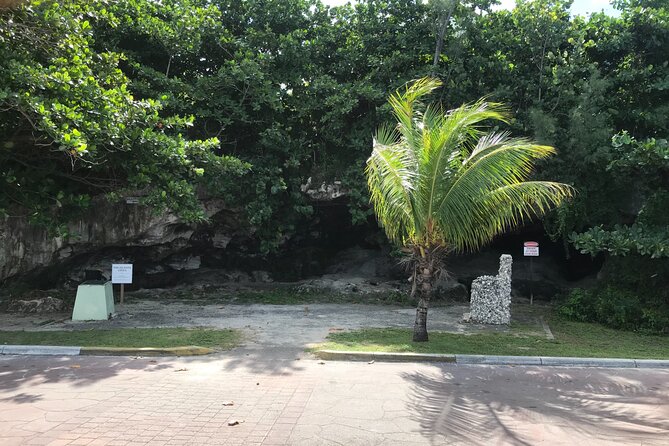Swim with the Pigs and Explore Caves in Nassau - A Nassau outing built around pigs and caves