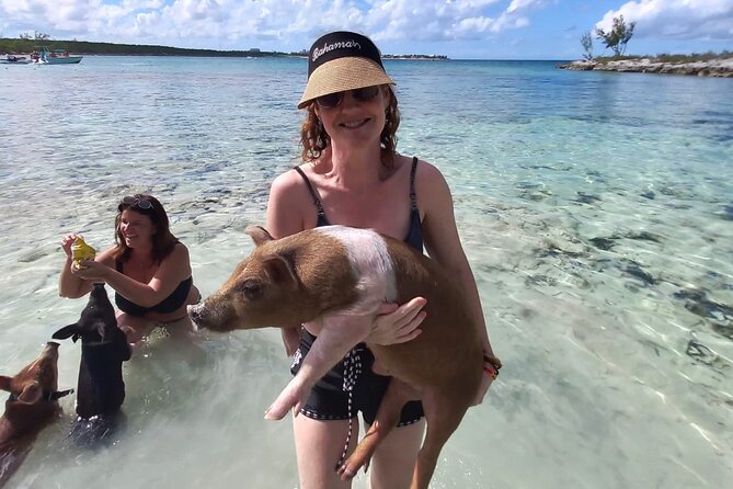 Swim with the Pigs and Explore Caves in Nassau - Pickup from the cruise port or hotel