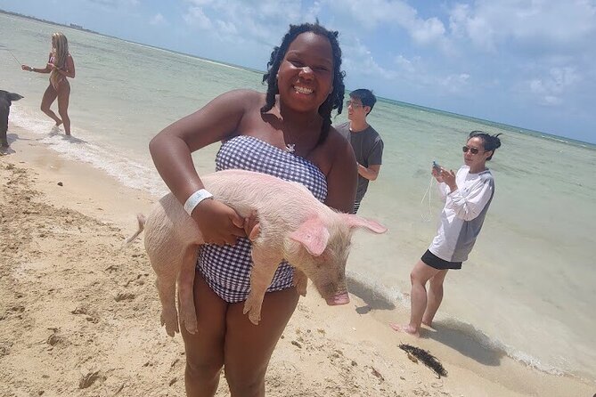 Swim with the Pigs and Explore Caves in Nassau - Meeting the pigs at the beach stop