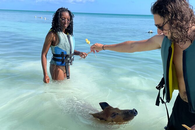 Swim with the Pigs Freeport @Creative Eco Adventures - The pig pen adds the personal touch