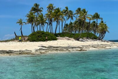 Swim with the Pigs Safari in Bahamas (2hrs)