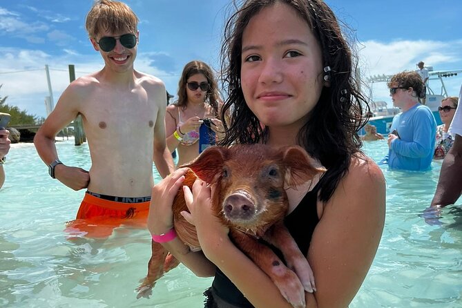 Swim with the Pigs Safari in Bahamas (2hrs) - Crew service and group size