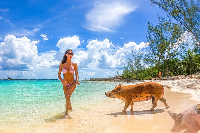 Swimming Pigs and Pearl Island Beach Escape - Practical advice for a smoother day