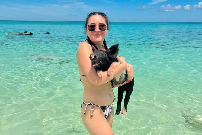 Swimming Pigs and Private Beach Club Escape - Getting From Nassau to Rose Island