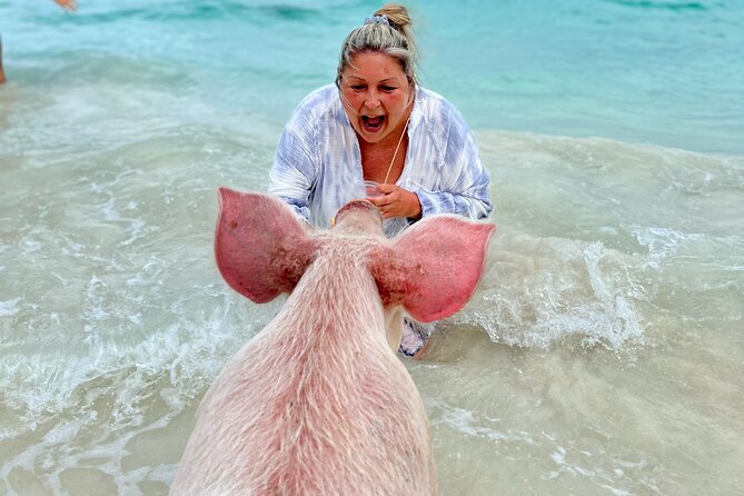 Swimming Pigs and Private Beach Club Escape - Rose Island Beach Time