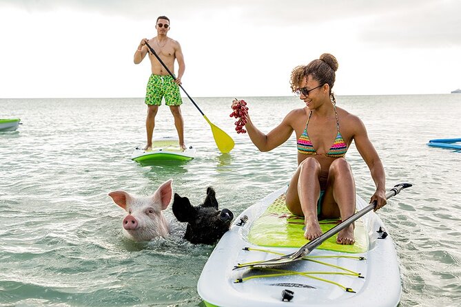 Swimming Pigs & ATV Tour - Quick points to know