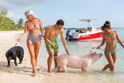 Swimming Pigs & ATV Tour