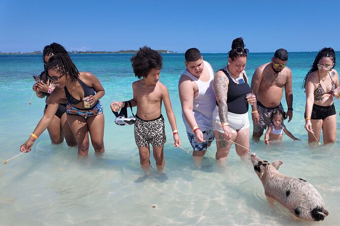 Swimming Pigs, Snorkeling and Beach Tour in Nassau Bahamas - Athol Island and the scheduled pig encounter