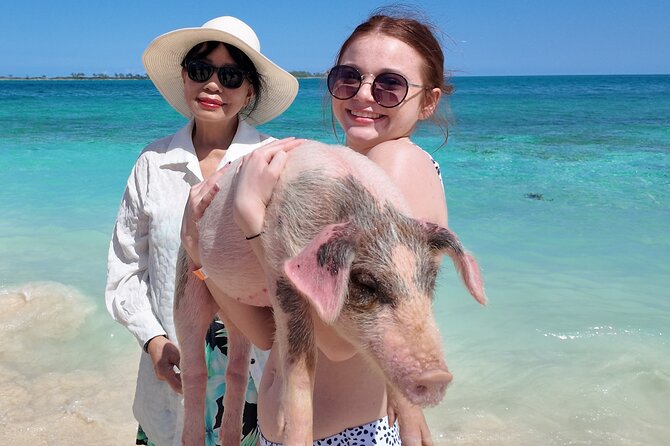 Swimming Pigs, Snorkeling and Beach Tour in Nassau Bahamas - Rainbow Reef gives you a quick look below the surface