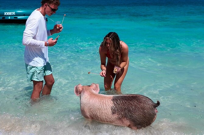 Swimming Pigs, Snorkeling and Beach Tour in Nassau Bahamas - Paradise Island brings Atlantis and waterfront views