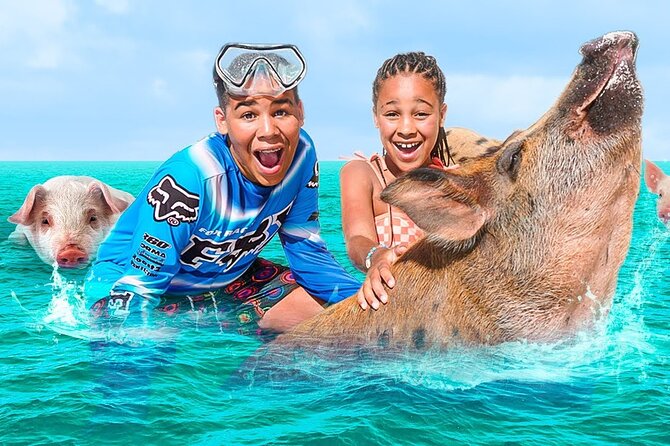 Swimming Pigs, Turtles & Reef Snorkel in Nassau-Champion Tours - Meeting the swimming pigs at Athol Island