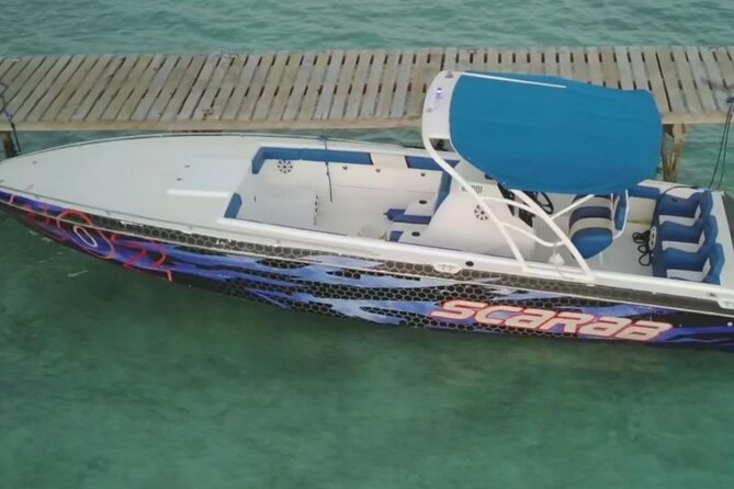 Swimming Pigs, Turtles & Reef Snorkel in Nassau-Champion Tours - Snorkeling with fish and wildlife