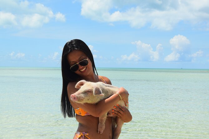 Swimming with Pigs in Nassau, Transportation Included - How the $179 price compares with the experience