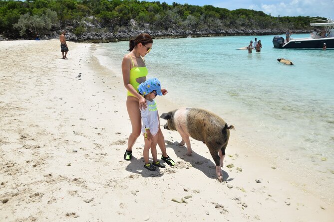 Swimming with Pigs in Nassau, Transportation Included - Boat transport and weather limits