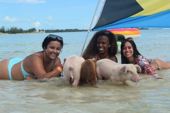 Swimming with Pigs in Nassau, Transportation Included - Who will enjoy this Nassau excursion