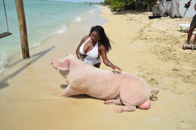 Swimming with Pigs in Nassau, Transportation Included - A beach day at Rose Island