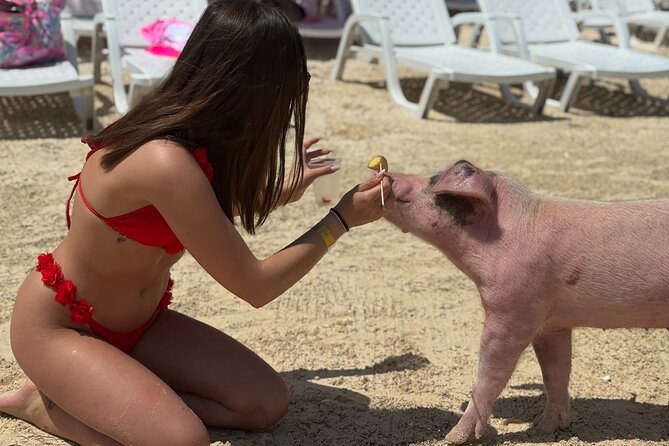 The Ultimate Bahamian Beach Day: Pigs, Jet Ski, Snorkeling & More - Lunch, Rum Punch, and Time to Cool Off